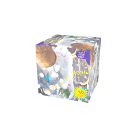 Новогодняя ночь Салют купить в Тольятти | tolyatti.salutsklad.ru