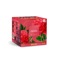 Пионы Салют купить в Тольятти | tolyatti.salutsklad.ru