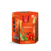 Тюльпаны Салют купить в Тольятти | tolyatti.salutsklad.ru