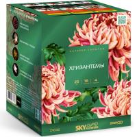 Хризантемы Фейерверк купить в Тольятти | tolyatti.salutsklad.ru