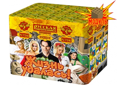 Жизнь удалась Фейерверк купить в Тольятти | tolyatti.salutsklad.ru