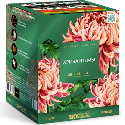 Хризантемы Фейерверк купить в Тольятти | tolyatti.salutsklad.ru