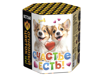 Счастье есть! Салют купить в Тольятти | tolyatti.salutsklad.ru